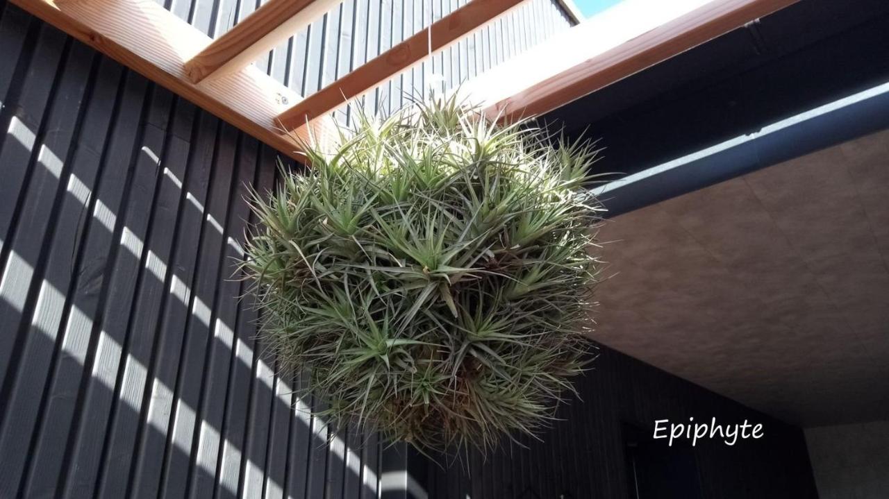 Apartament Epiphytes Et Succulentes Paimpol Zewnętrze zdjęcie